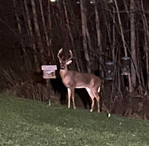 Builiding view twenty four for 52229 Tacoma Narrows, Macomb, MI. 48042