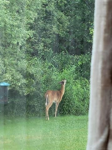 Builiding view twenty one for 52229 Tacoma Narrows, Macomb, MI. 48042