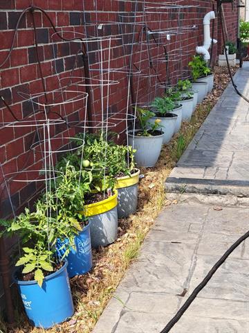 Builiding view twenty three for 52229 Tacoma Narrows, Macomb, MI. 48042