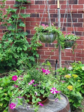 Builiding view twenty two for 52229 Tacoma Narrows, Macomb, MI. 48042