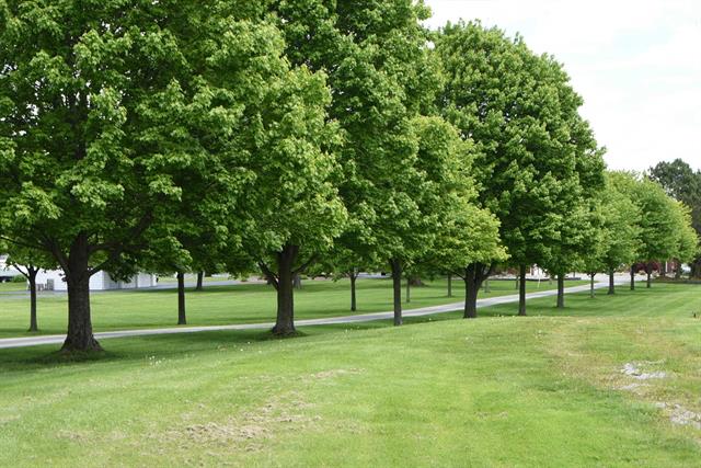 Builiding view seventy nine for 4243 River, East China, MI. 48054