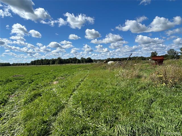 Builiding view thirty for 16465 Almont, Allenton, MI. 48002