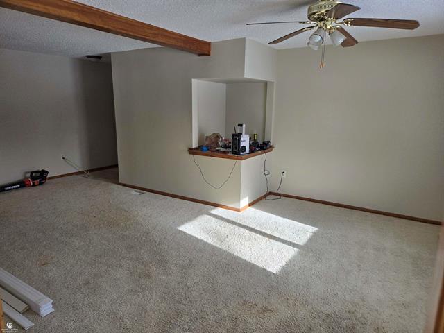 Builiding view nine for 10676 Brandon, Emmett, MI. 48022