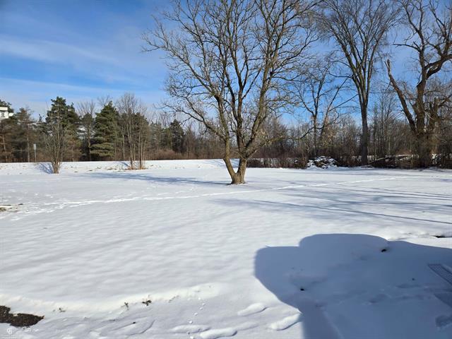 Builiding view nineteen for 10676 Brandon, Emmett, MI. 48022