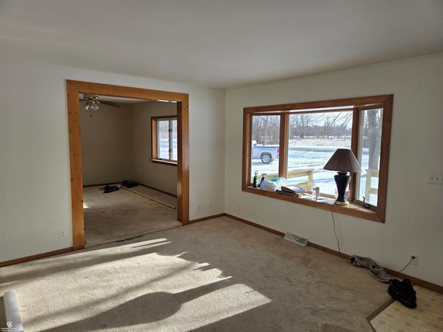 Builiding view seven for 10676 Brandon, Emmett, MI. 48022