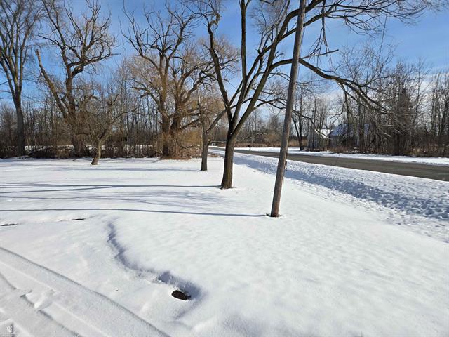 Builiding view twenty one for 10676 Brandon, Emmett, MI. 48022