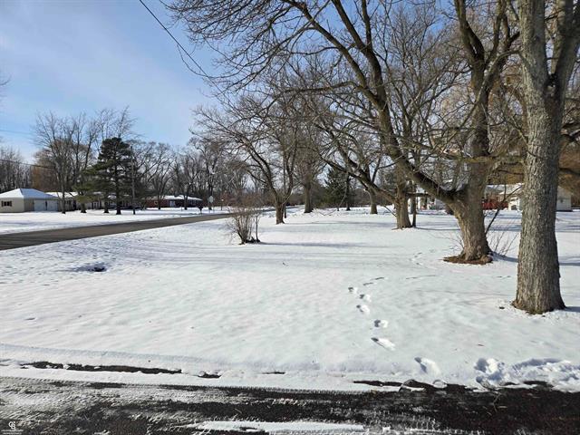 Builiding view twenty two for 10676 Brandon, Emmett, MI. 48022