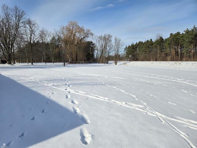 Builiding view twenty for 10676 Brandon, Emmett, MI. 48022