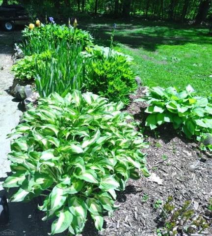 Builiding view fifty eight for 7241 Bryce, North Street, MI. 48049