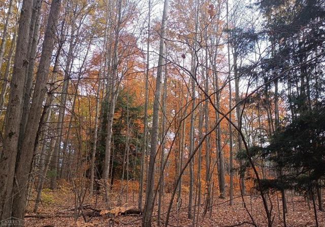 Builiding view fifty one for 7241 Bryce, North Street, MI. 48049