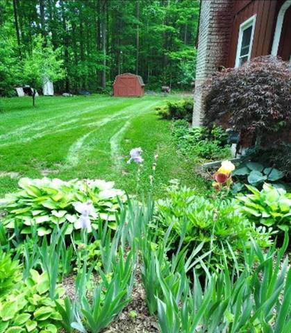 Builiding view fifty seven for 7241 Bryce, North Street, MI. 48049