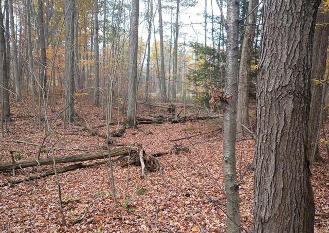 Builiding view fifty three for 7241 Bryce, North Street, MI. 48049