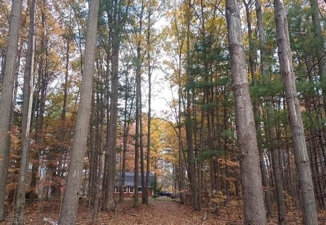 Builiding view fifty two for 7241 Bryce, North Street, MI. 48049