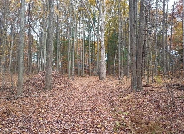 Builiding view fifty for 7241 Bryce, North Street, MI. 48049