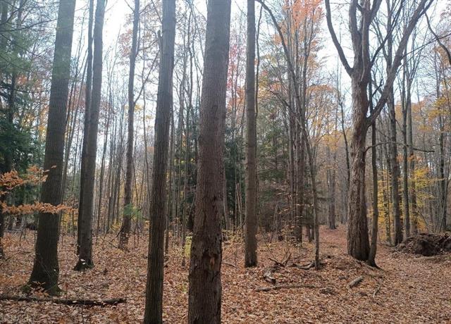 Builiding view forty eight for 7241 Bryce, North Street, MI. 48049