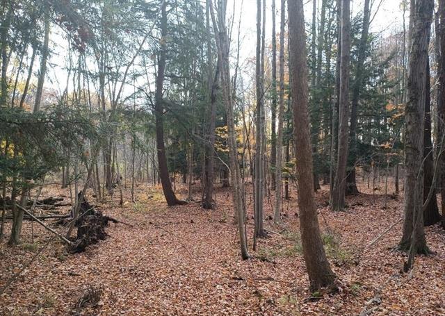 Builiding view forty nine for 7241 Bryce, North Street, MI. 48049