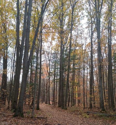 Builiding view forty seven for 7241 Bryce, North Street, MI. 48049