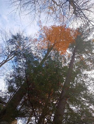 Builiding view forty six for 7241 Bryce, North Street, MI. 48049