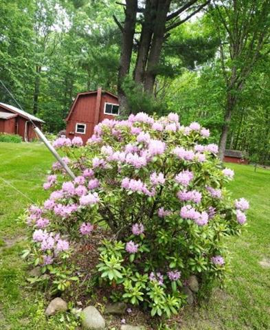 Builiding view sixty one for 7241 Bryce, North Street, MI. 48049