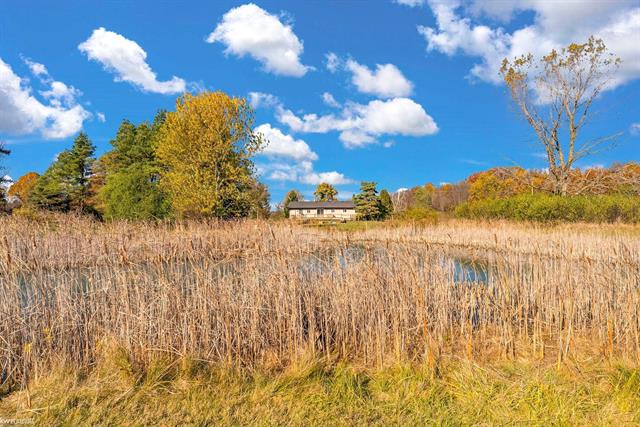 Builiding view fifty for 15183 Yale, Yale, MI. 48097