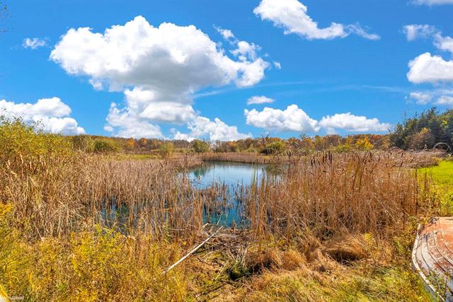 Builiding view forty nine for 15183 Yale, Yale, MI. 48097