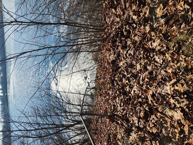 front view picture of 1161 Oak Grove Park, Union City, MI. 49094