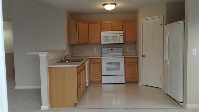 front view picture of 28813 Cullen Drive, Romulus, MI. 48174