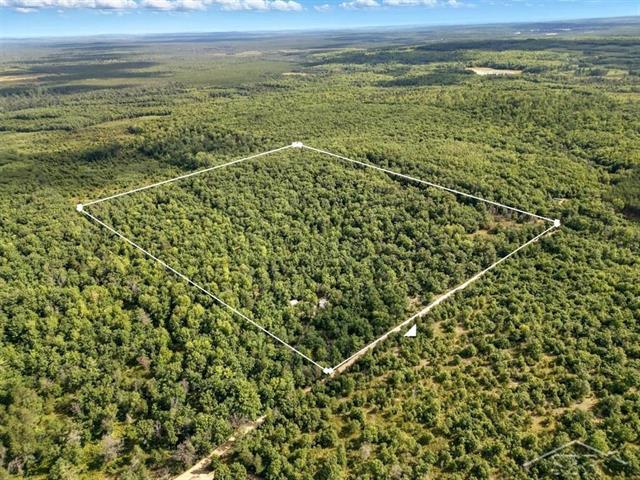 front view picture of 726 Wilbur Lane, Roscommon, MI. 48653